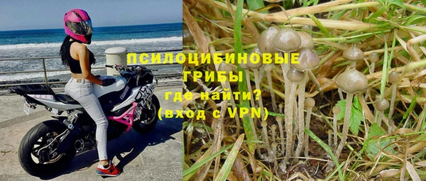 а пвп мука Няндома