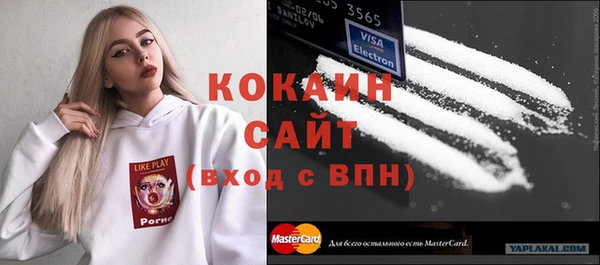 сатива Нягань