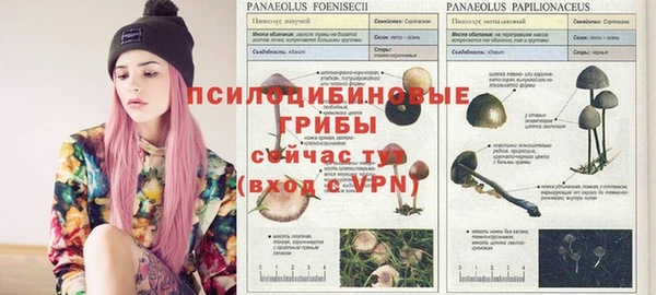 сатива Нягань