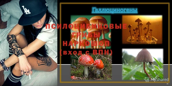 apvp Нязепетровск